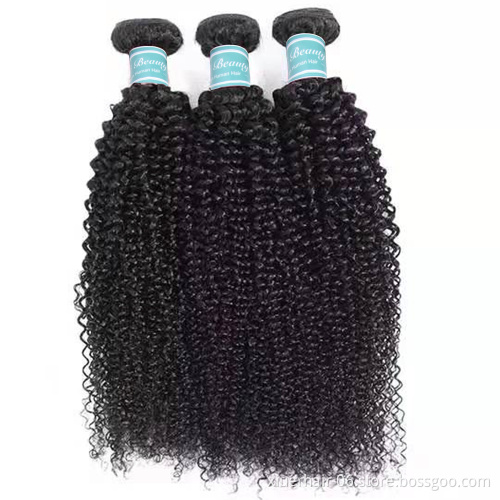12A Grade Unprocess Raw Virgin Remy Kinky Curly Human Straight Bundles Cuticle Aligned Virgin Hair With Clisures